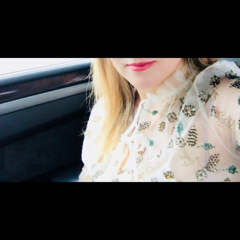 Anthropology Let me be embellished top. Worn once - Picture 2 of 2